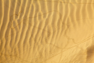 Similar image 1779974