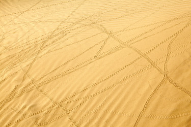 Similar image 1779975