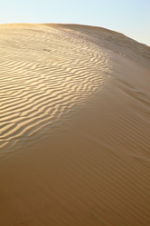 Similar image 1779988