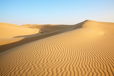 Similar image 1780023