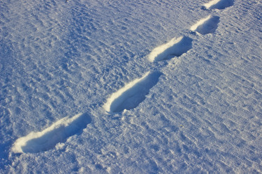 Similar image 1780037