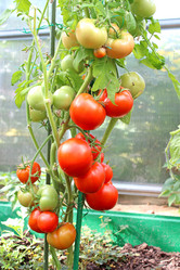 Similar image 1780052