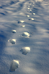 Similar image 1780056