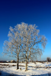 Similar image 1780074