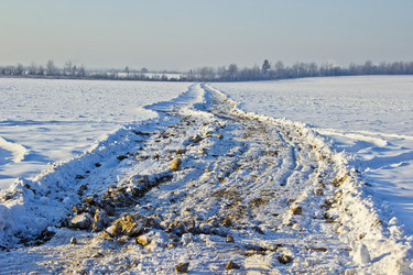 Similar image 1780075