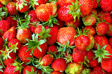 Similar image 1780094