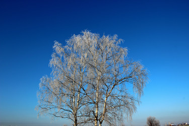 Similar image 1780095