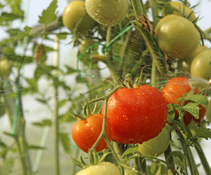 Similar image 1780097