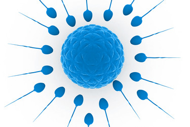 Similar image 1780172