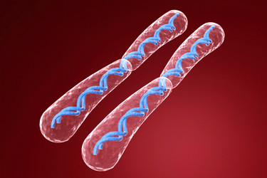 Similar image 1780173