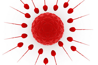 Similar image 1780174