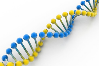 Similar image 1780176