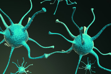 Similar image 1780182