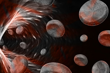 Similar image 1780183