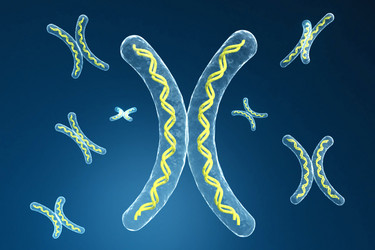 Similar image 1780186