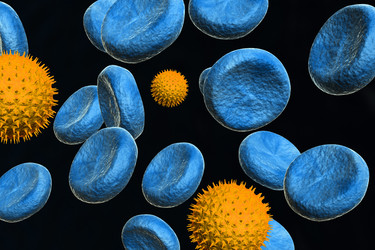 Similar image 1780187