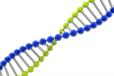 Similar image 1780194