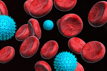 Similar image 1780196