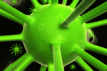 Similar image 1780203