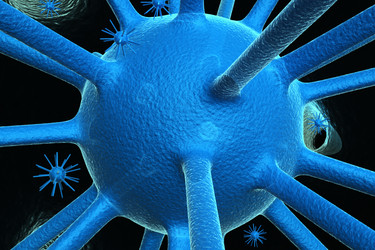 Similar image 1780204