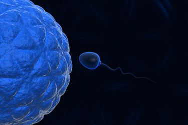 Similar image 1780206