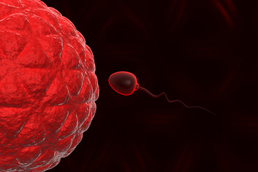 Similar image 1780207