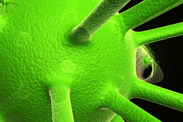 Similar image 1780209