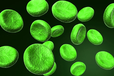 Similar image 1780212