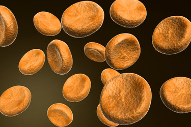 Similar image 1780216