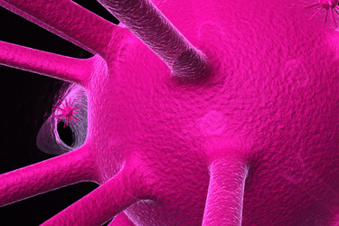 Similar image 1780218