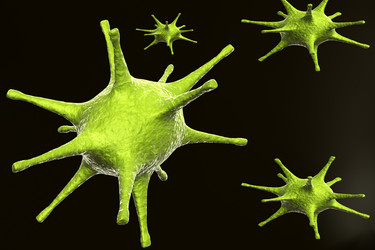 Similar image 1780226