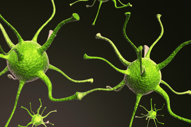 Similar image 1780227