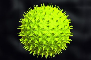 Similar image 1780228