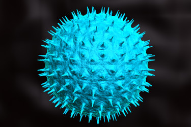 Similar image 1780229