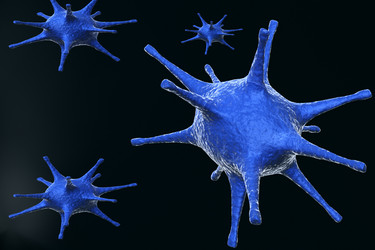 Similar image 1780232