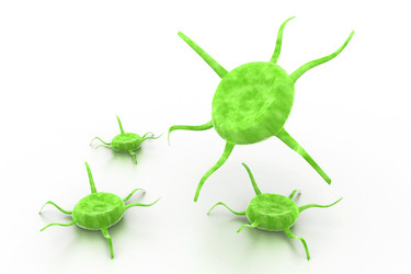 Similar image 1780233