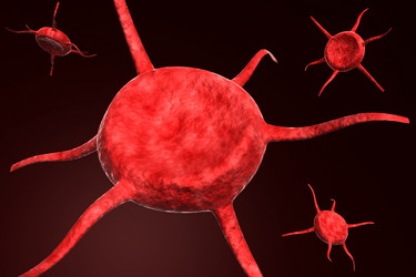 Similar image 1780234