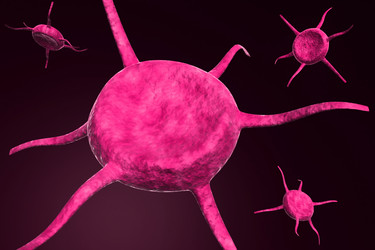 Similar image 1780235