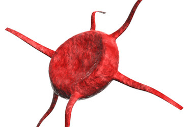 Similar image 1780236