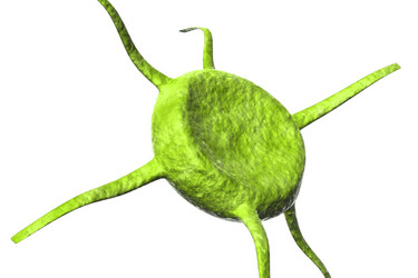 Similar image 1780237