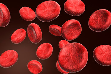 Similar image 1780240