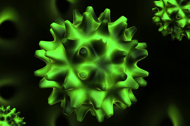 Similar image 1780241