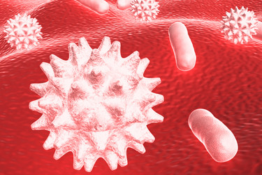 Similar image 1780242