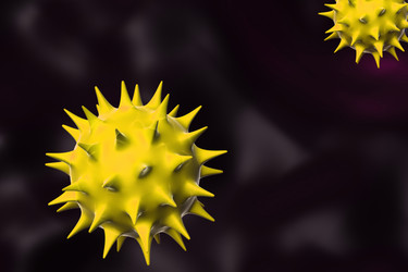 Similar image 1780252