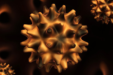 Similar image 1780253