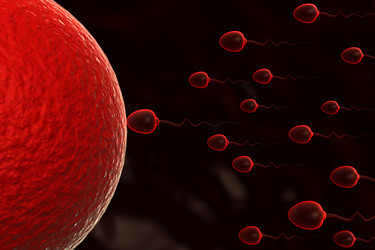 Similar image 1780254