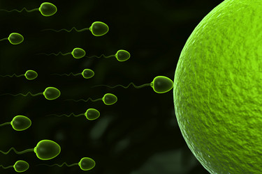 Similar image 1780256