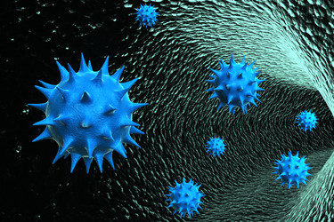 Similar image 1780258