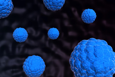 Similar image 1780259