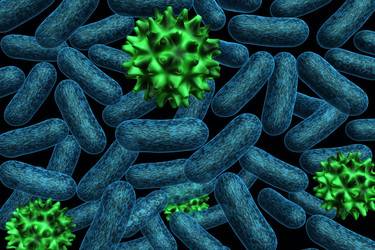 Similar image 1780260